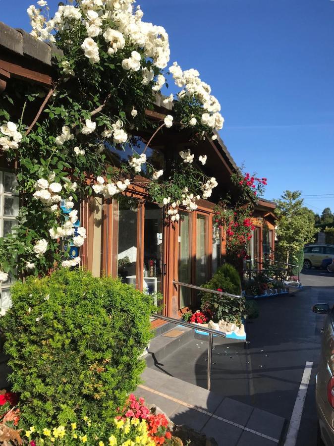 Hotel El Jardin