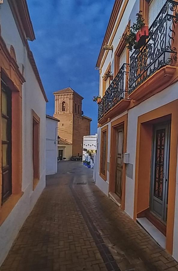 La Casa Del Cine En *