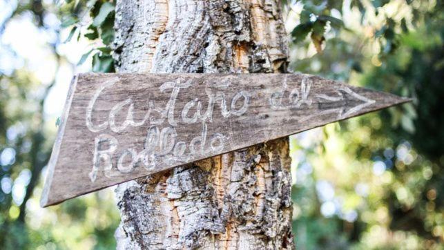 “la Julianita” Holiday home *