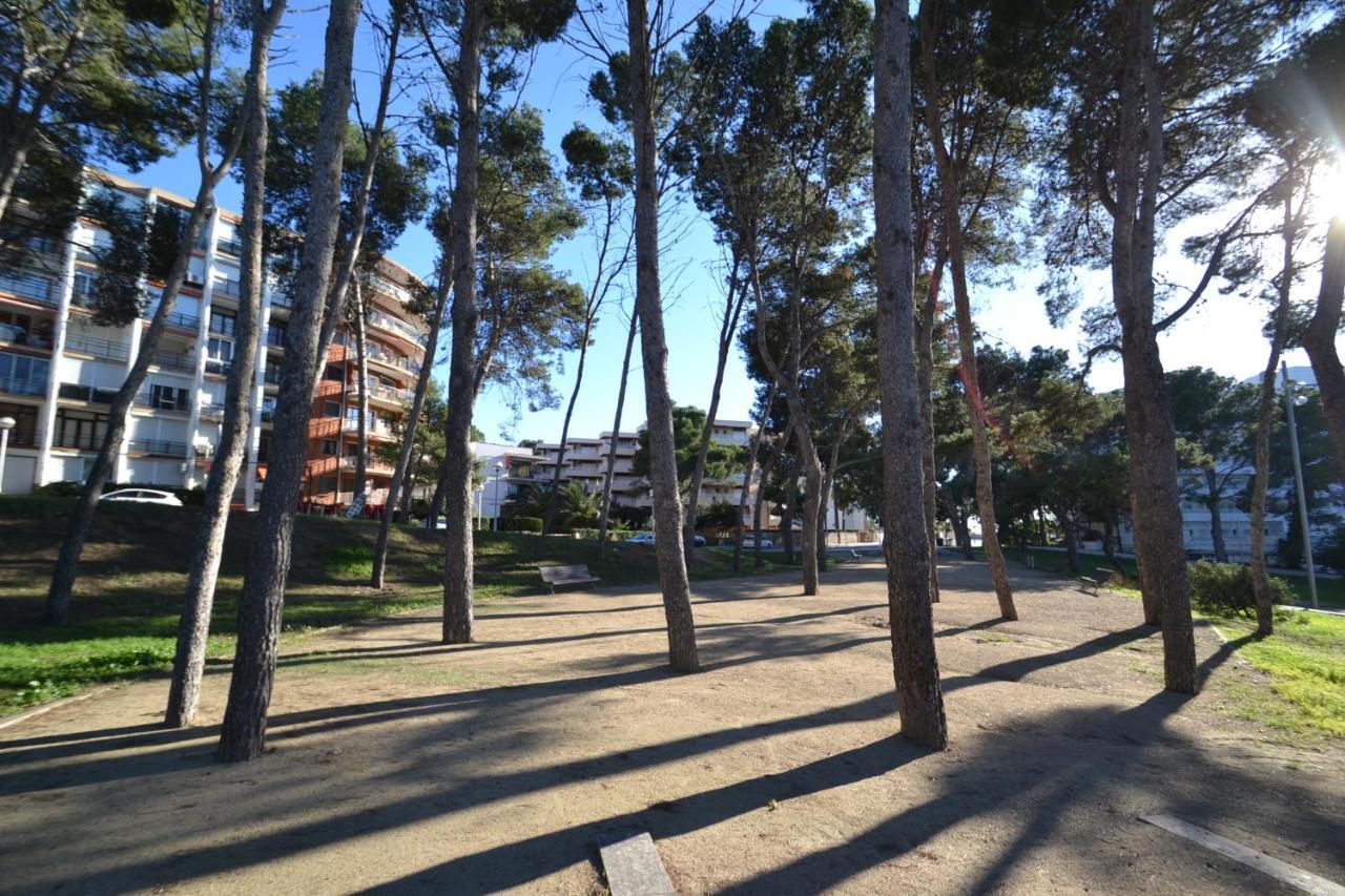 Wvp - Catalunya 4 *