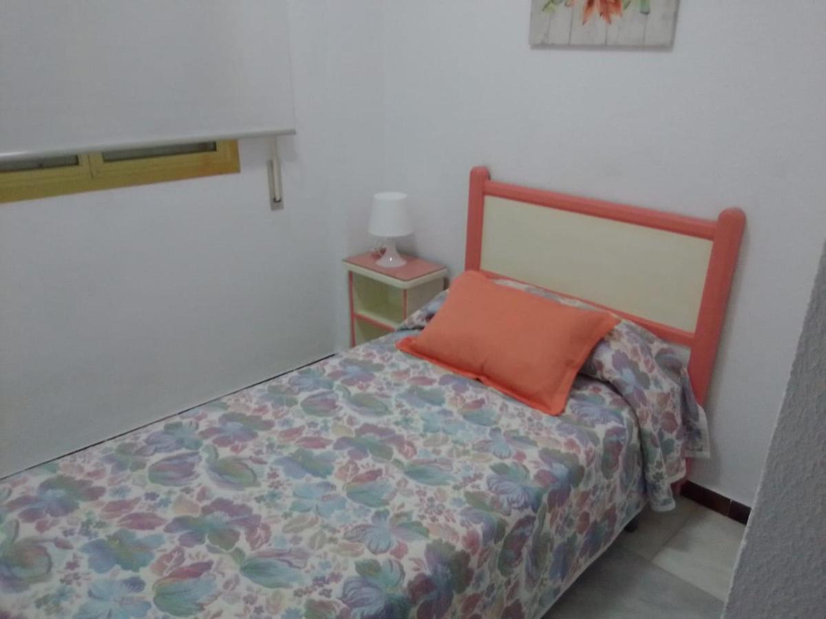 Apartment Nz