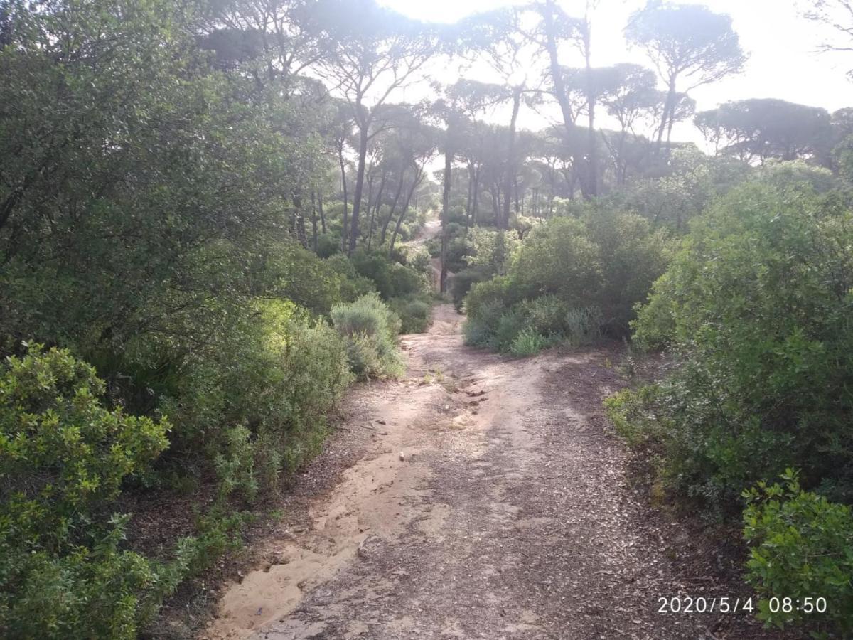 Pinos Casa rural *