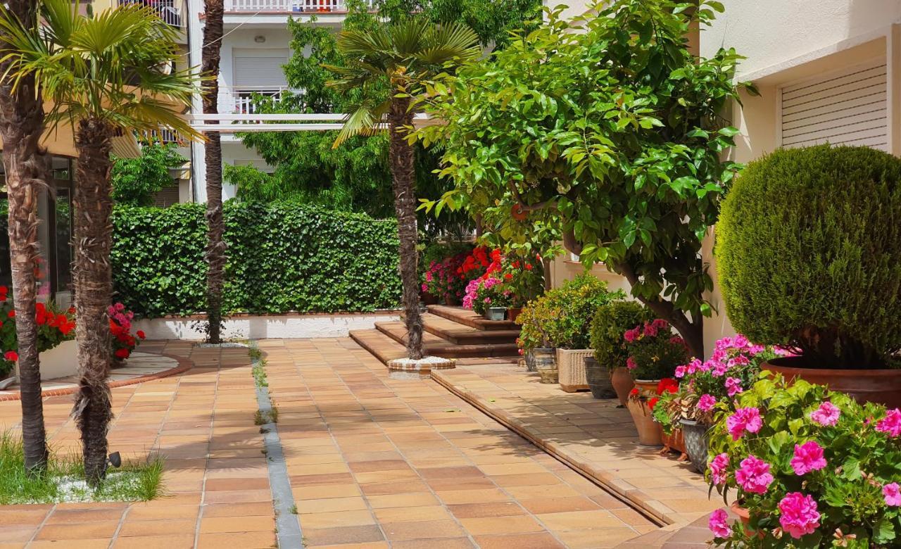 Hotel Mireia *