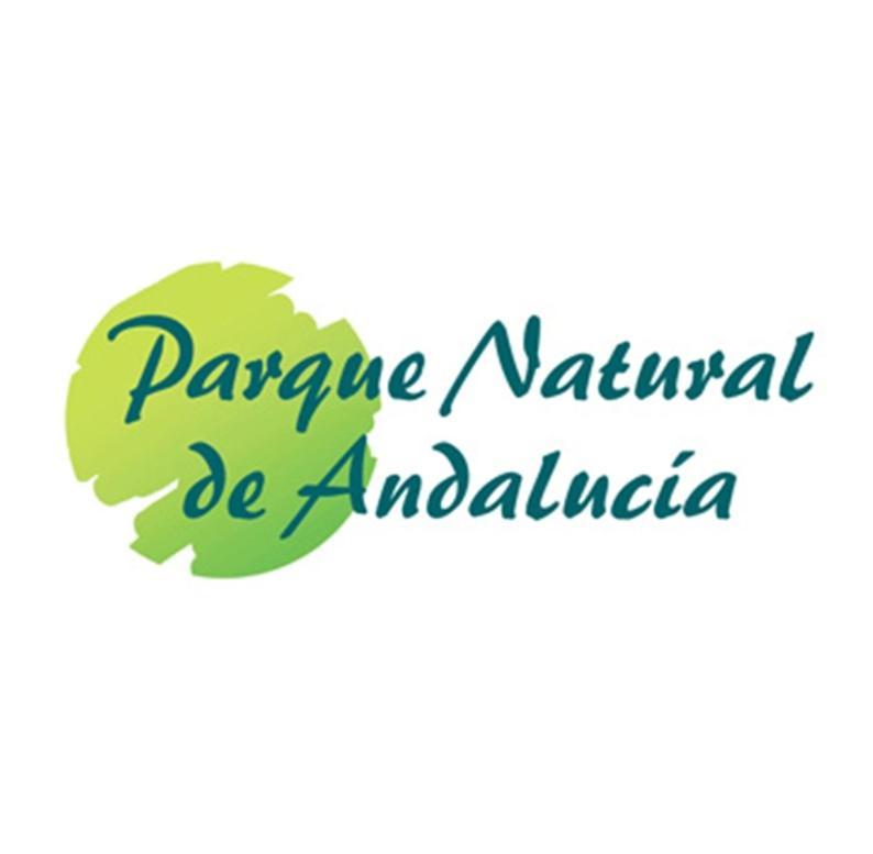 Pinos